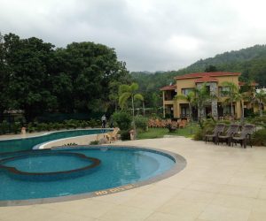 corbett-mango-bloom (4)